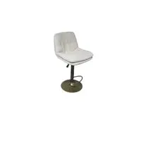 Adjustable Barstool