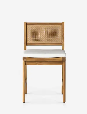 Anson Indoor / Outdoor Dining Chair