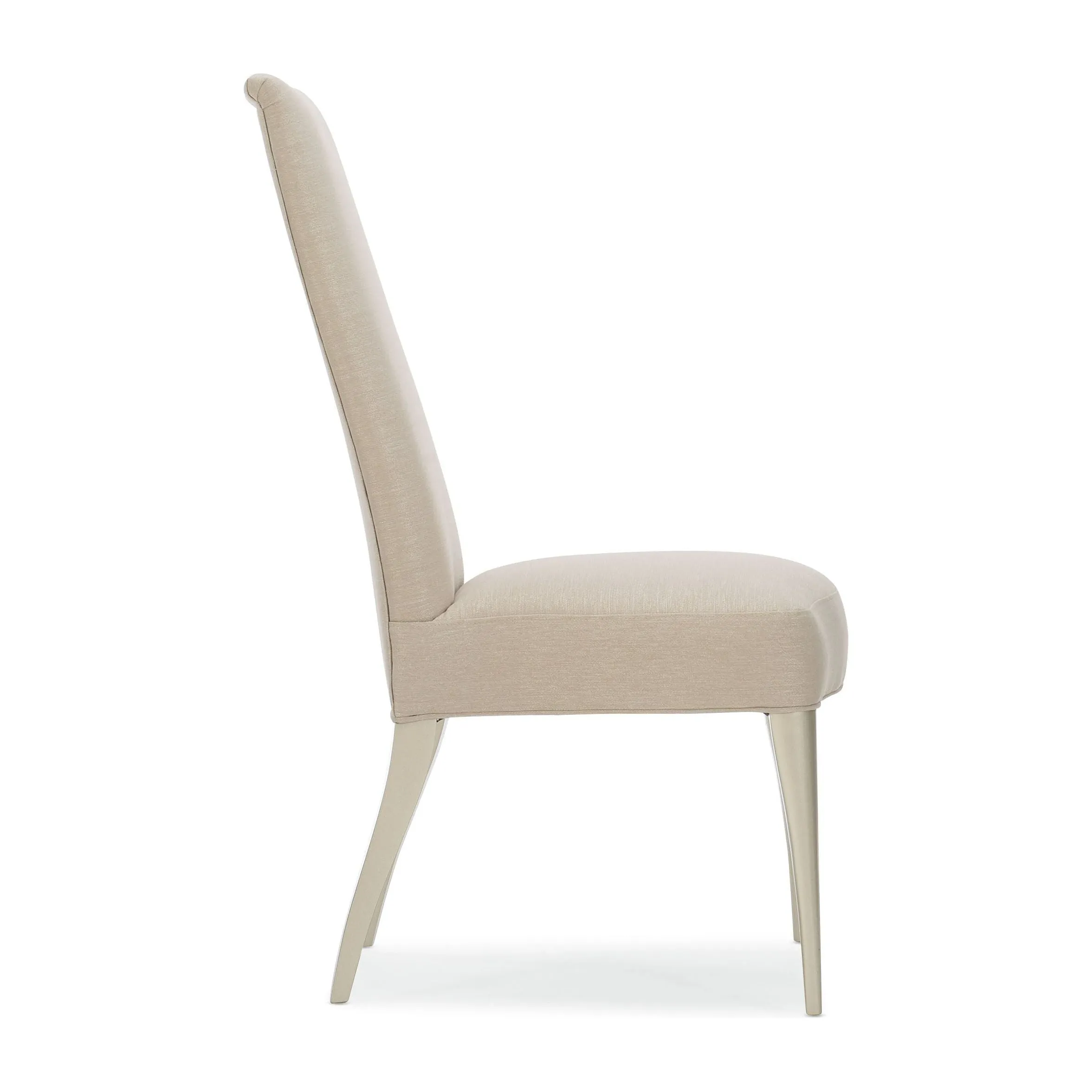 Appropriate Dining Chair - Silver