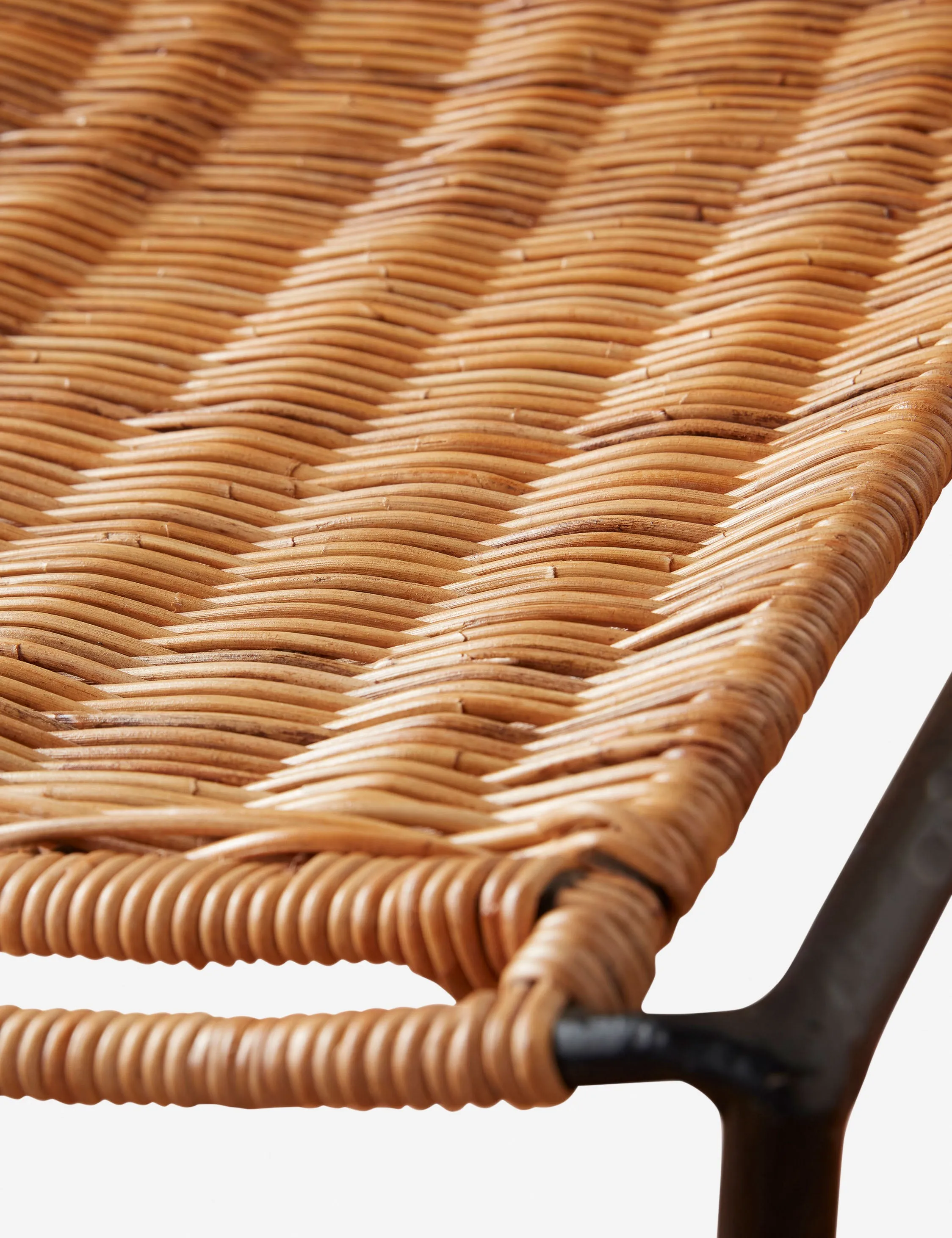 Bonnet Indoor / Outdoor Accent Chair