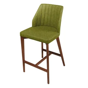 Florence Bar Stool Set of 2 LIME