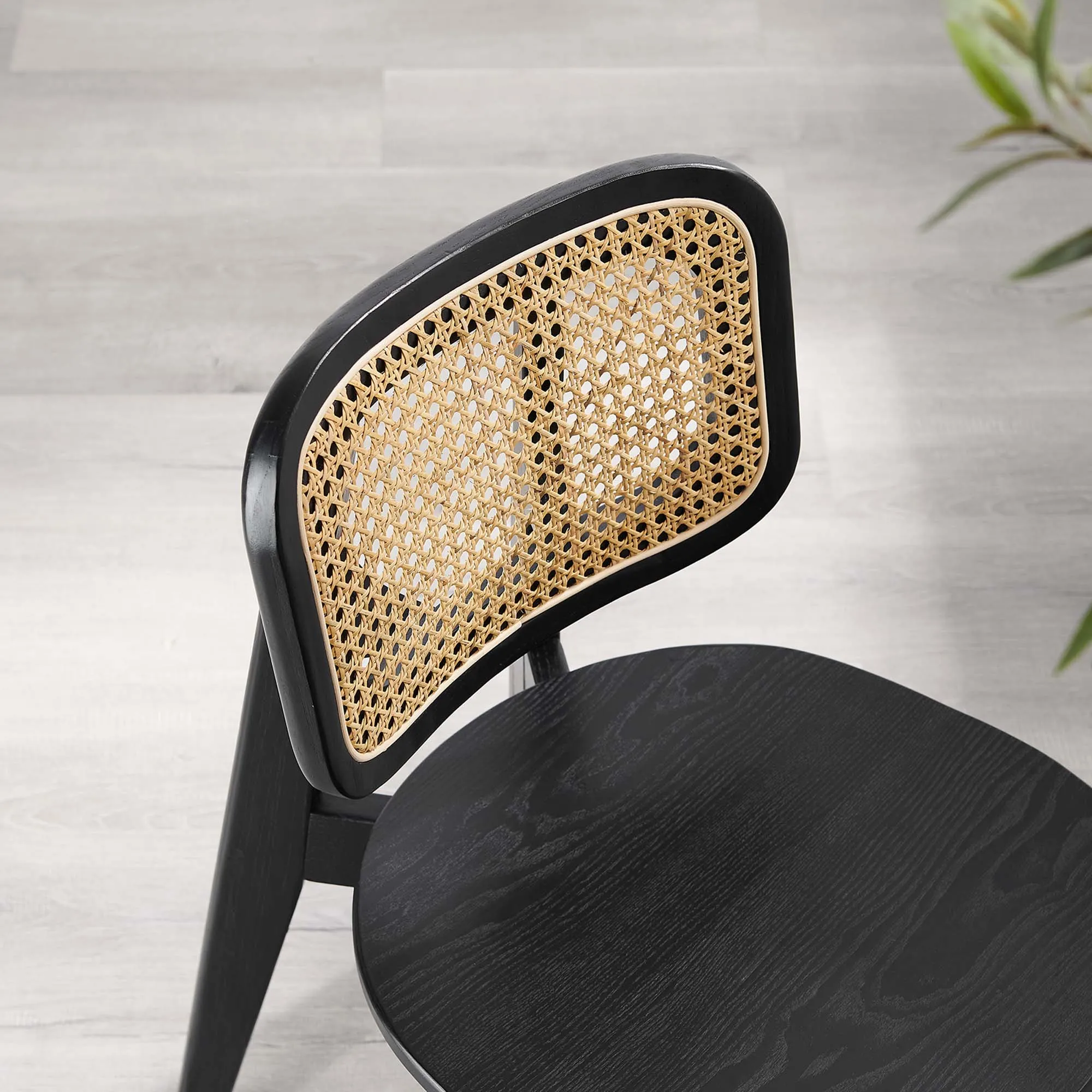 Habitat Wood Dining Side Chair by Modway