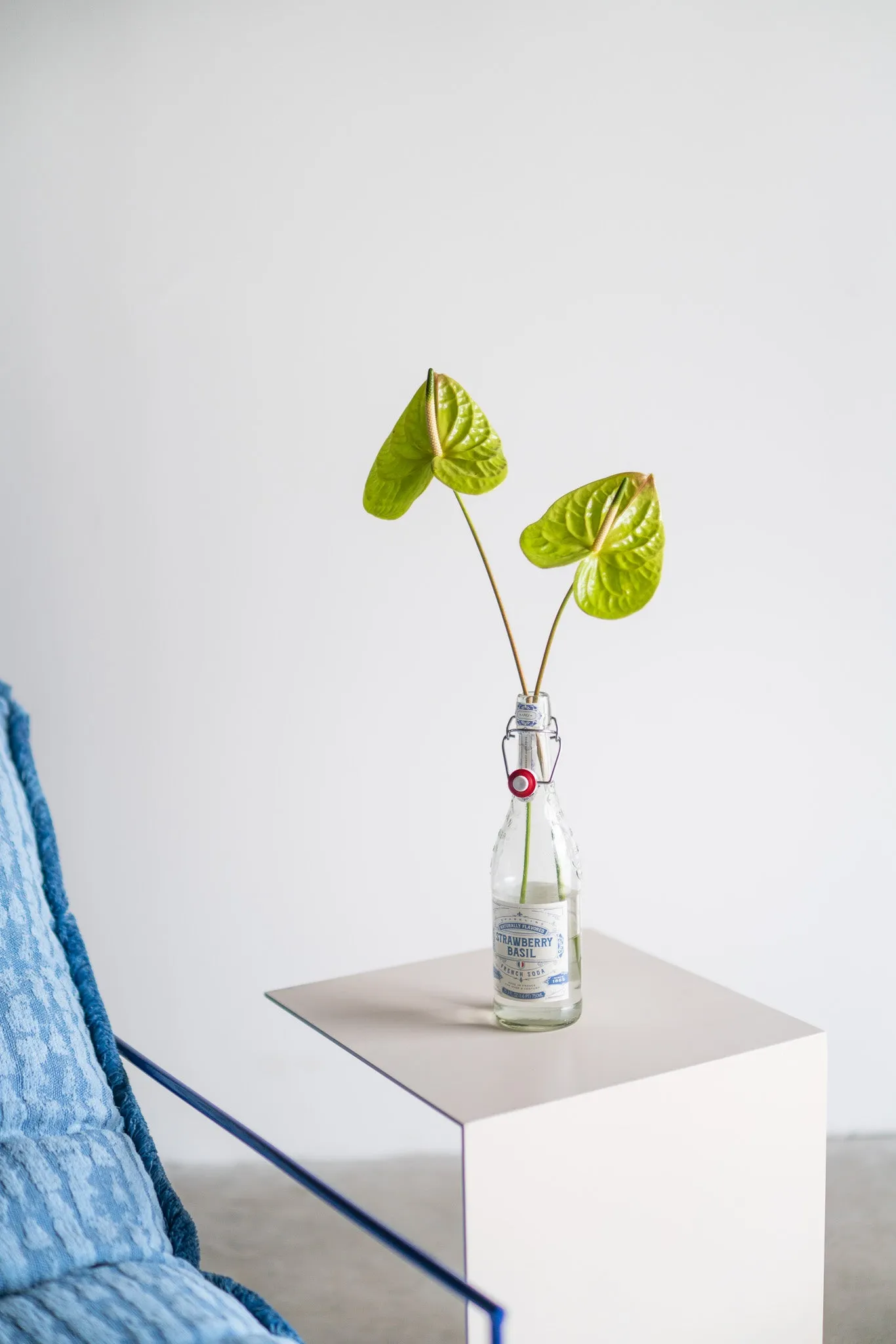 Sierra Chair x Noz Design